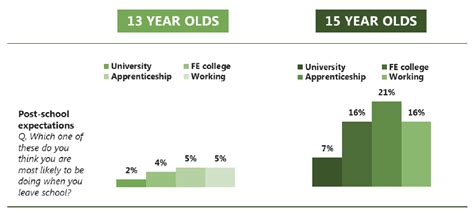 6 Risk And Protective Factors Scottish Schools Adolescent Lifestyle