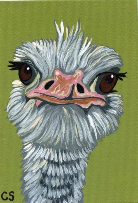 Aceo Atc Original Miniature Painting Ostrich Bird Wildlife Art Carla