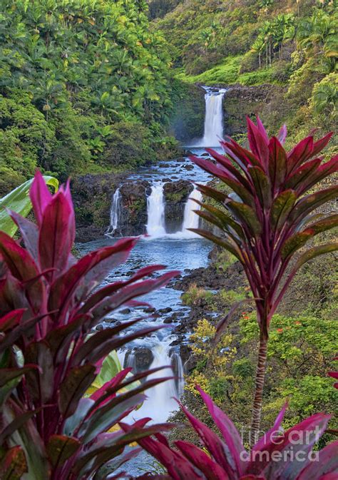 Umauma Falls Big Island Hawaii Photograph by Gary Beeler - Pixels