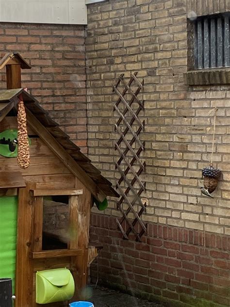 Diy Vetbollen Maken Voor De Vogels Mama Van Drie