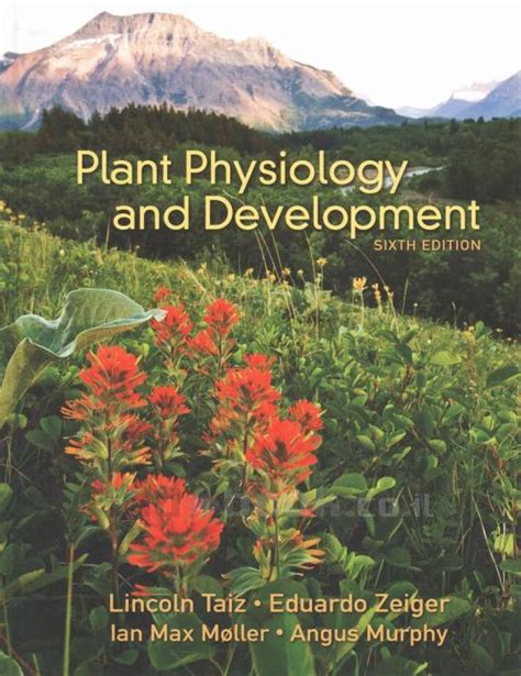 Plant Physiology And Development Eduardo Zeiger Lincoln Taiz Ian M