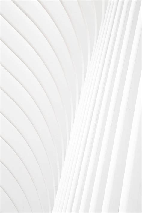 Top 999 All White Wallpaper Full Hd 4k Free To Use