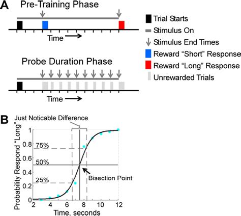 Figure From Human Performance On The Temporal Bisection Task