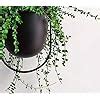 RISEON Boho Black Metal Plant Hanger Metal Wall And Ceiling Hanging