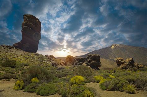 Echium Wildpretii Famoso Dedo Da Rocha De Deus No Parque Nacional De Teide Ilha De Tenerife