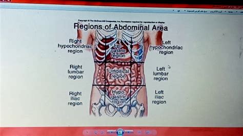 Abdominal Health Assessment Part1 Youtube