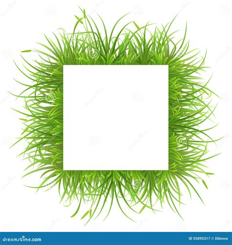 Square Frame With Grass Stock Vector Illustration Of Meadow 55895317