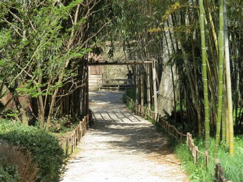 Détour dans les Cévennes