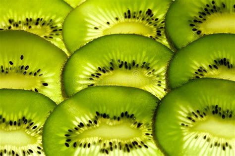 Sliced kiwi stock photo. Image of fruits, backlited, light - 3024992