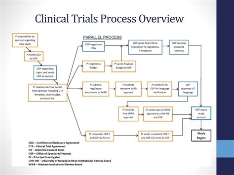 Clinical Trial Process Flow Diagrams Clinical Protocol Activ