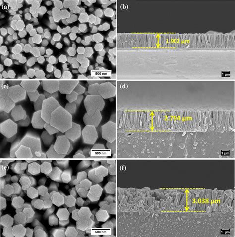 Top View And Typical Cross Sectional View Fesem Images Of A B Zno