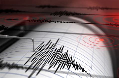 Cutremur cu magnitudinea 7 6 în Japonia a fost emisă avertizare de tsunami