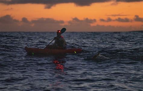 47 Kilometer Bei Nacht Durch Den Pazifik Nathalie Pohl Bezwingt Als