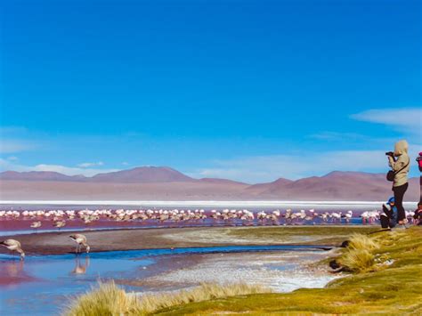 San Pedro De Atacama To Uyuni Salt Flats 4 Day Tour