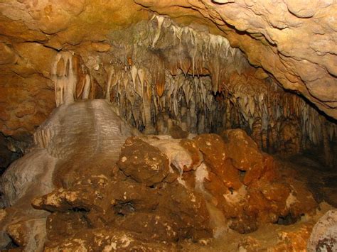 Florida-Caverns-State-Park-Marianna-FL-120