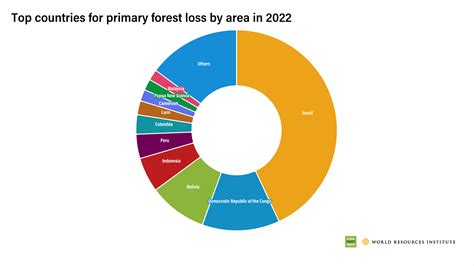 El planeta perdió una superficie de bosques tropicales del tamaño de