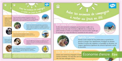 Conseils pour protéger les animaux de compagnie en été