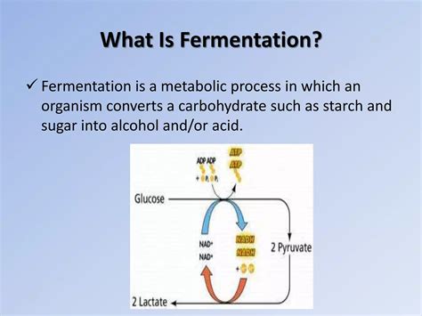 Fermented milk products | PPT