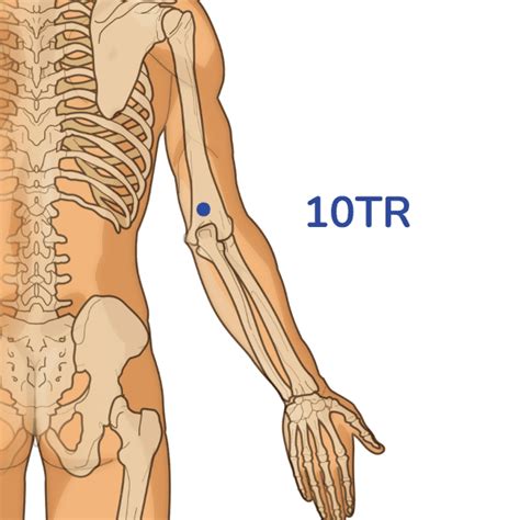 Point d acupuncture Tianjing 10TR Méridien du Triple Réchauffeur