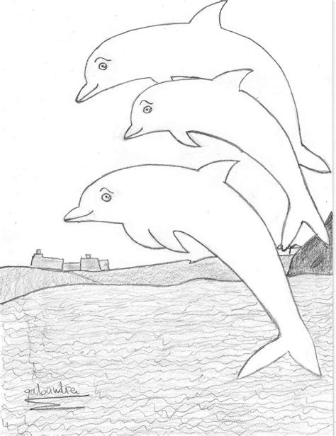 Dolphin Pencil Drawing At Getdrawings Free Download