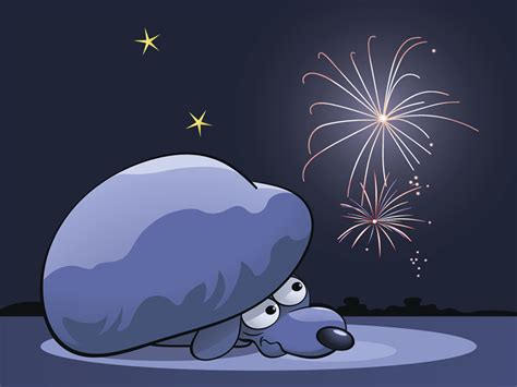 Dog Scared Of The Fireworks - Climate Online