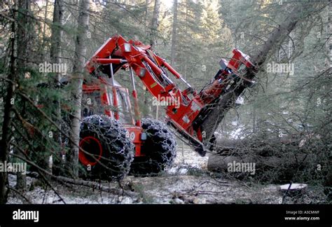 Logging industry Stock Photo - Alamy