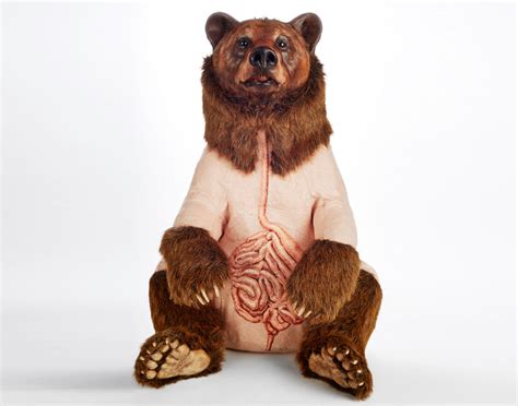 The Furless Anatomy Of Bears – Celebrating the strange and the shadowy, the damned and unseen