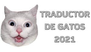 Meowtalk App Traductor De Gatos Funciona Movil Galaxy