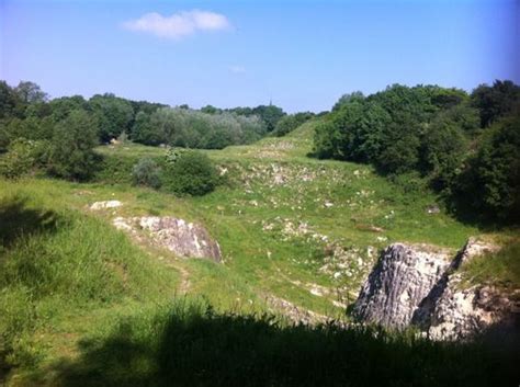 2023 Best Walking Trails In Berg En Terblijt AllTrails