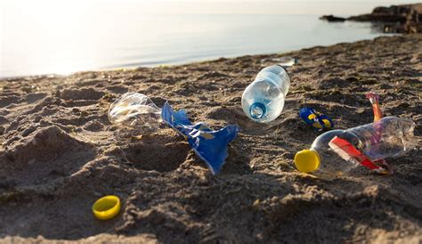 En La Costa Bonaerense El Plástico Es El Contaminante Más Abundante