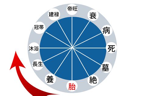 【四柱推命】十二運大運・年運の観方⇒あなたは今どんな時期？ 赤 兩椛の占い部屋 ～ryokas Room～