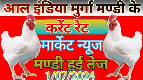 1 Julay 2024 Ke Rate Poultry Rate Today Aaj Ka Thok Murga Mandi Rate