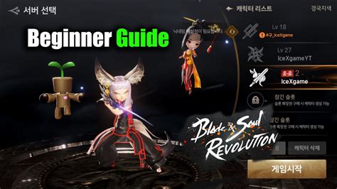 Blade And Soul Revolution Beginner Guide Youtube