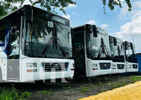 Llega A Nicaragua La Cuarta Flota De Buses Chinos Para Modernizar El