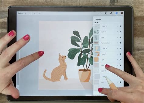 How To Create An Animation In Procreate In 5 Minutes Liz Kohler Brown