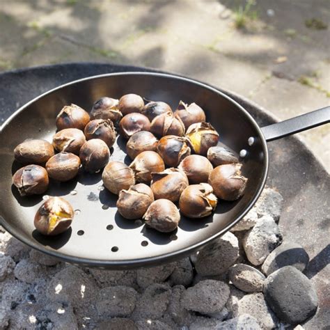 Long Handled Chestnut Roasting Pan