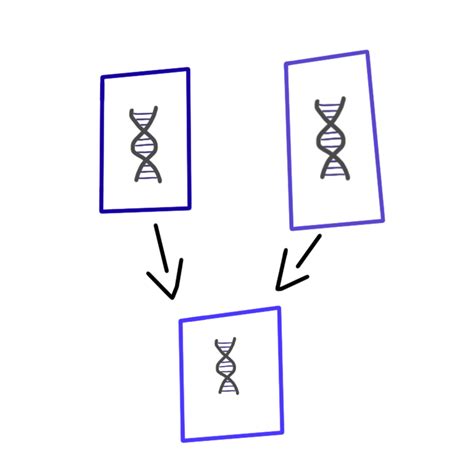 Vertical Gene Transfer In Aac Image Library · Global Symbols