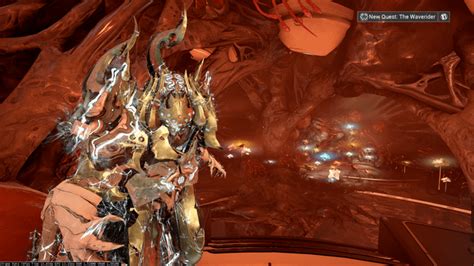 Do You Guys Have A Lot Of Flowers Rwarframe