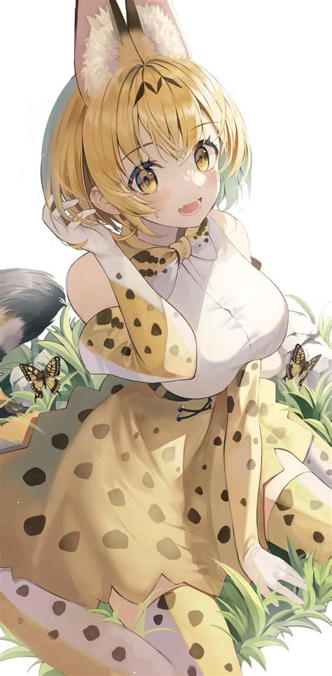 Serval 9gag