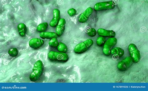 Microscopische Schimmels Malassezia Furfur Stock Illustratie