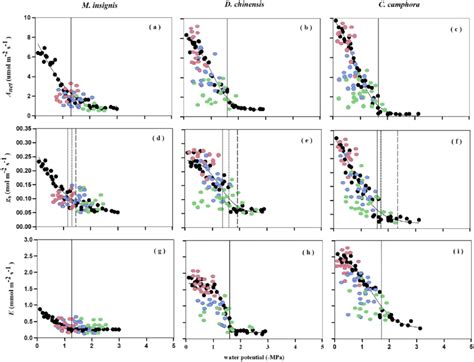 The Response Of Photosynthesis A Net Stomatal Conductance G S