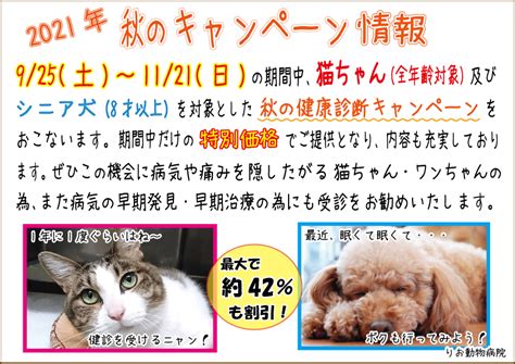 2021年秋の健康診断キャンペーンのお知らせ！ 葛飾区堀切 りお動物病院