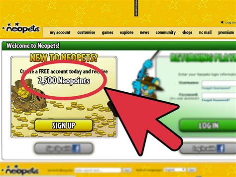 How To Get Into The Soup Kitchen When You Are Rich On Neopets