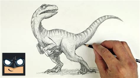 How To Draw Velociraptor | Sketch Saturday - YouTube