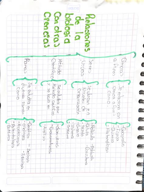 Cuadro Sinóptico De Las Relaciones De La Biología Con Otras Ciencias Pdf