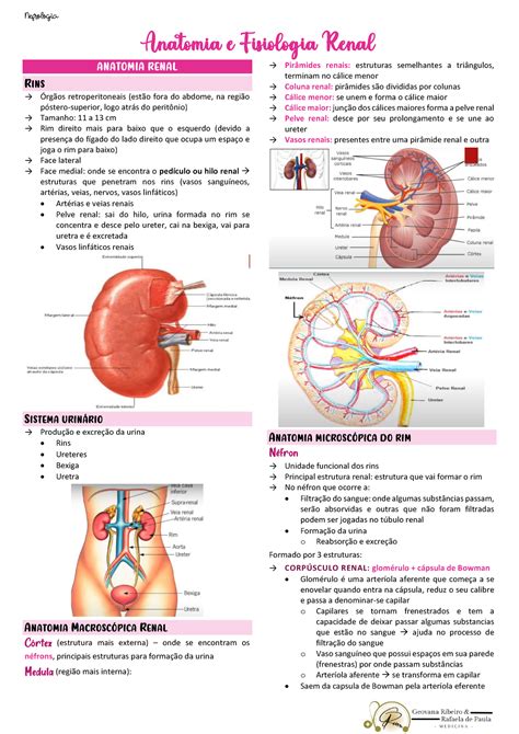 Fisiopatologia Do Sistema Renal FDPLEARN