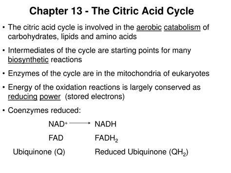 Ppt Chapter The Citric Acid Cycle Powerpoint Presentation Free