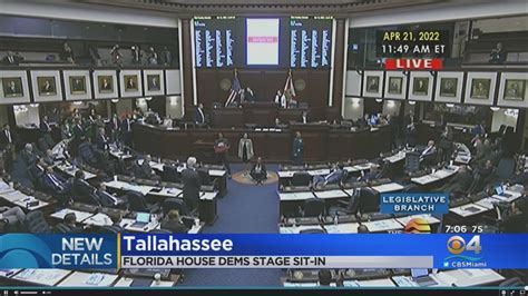 Florida House Redistricting Plan Passes As Democrats Stage Sit In