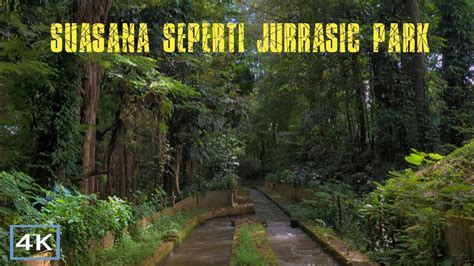 4K Walking Around Explore TAHURA Taman Hutan Raya Ir H Djuanda