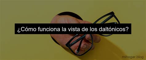 Gafas Para Dalt Nicos En Espa A Precios Y Opciones Mi Hogar